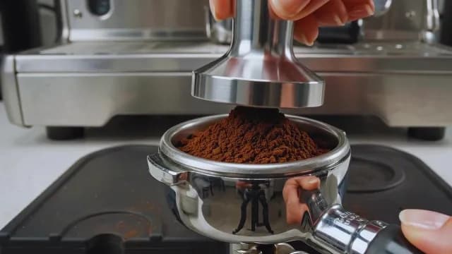 Professional Barista Tamping Espresso Coffee Grounds in Portafilter