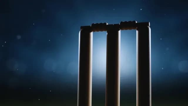 Dramatic Cricket Wickets Illuminated Under Stadium Floodlights at Night