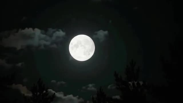 Bright Full Moon Glowing in Dark Night Sky with Silhouette Trees