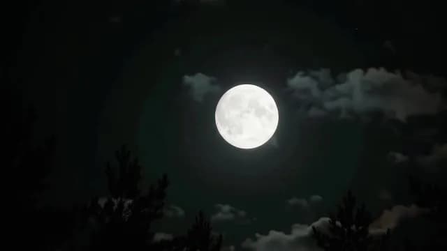 Luminous Full Moon Shining Over Silhouetted Pine Forest at Night