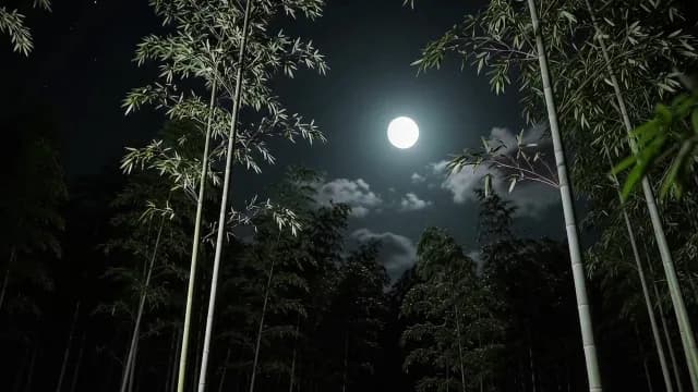 Serene Full Moon Shining Over a Peaceful Bamboo Forest at Night