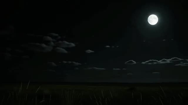 Full Moon Shining Over Dark Night Meadow with Clouds