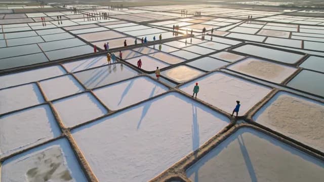 Aerial View of Workers Walking Through Salt Evaporation Ponds at Sunset