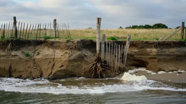 Severe Coastal Erosion and Collapsing Fence on a Sandy Beach
