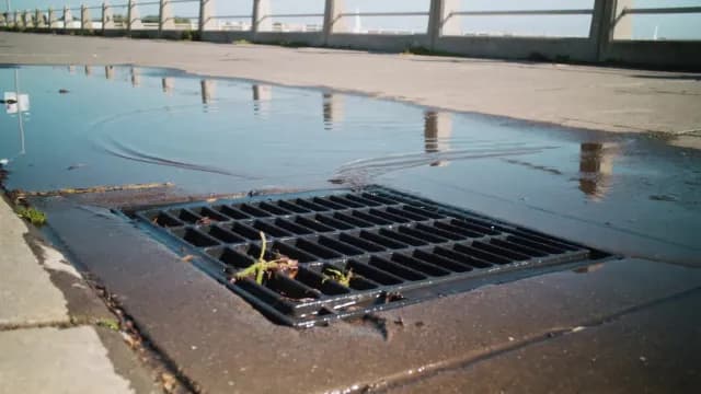 Rainwater Flowing into a Street Storm Drain Grate After a Storm