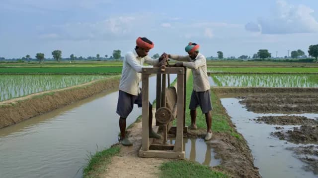 Indian Farmers Using Traditional Manual Water Pump in Rice Paddy Field
