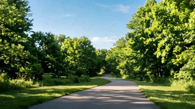 Winding Asphalt Path Through Lush Green Summer Park