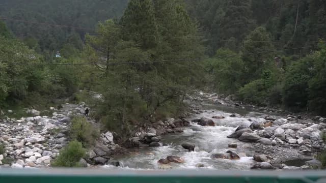 Scenic View of a Fast Flowing Rocky Tirthan River in Himachal Valley in Dense Forest
