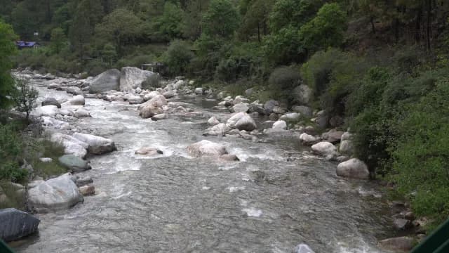 Scenic Fast Flowing Mountain River Rushing Over Rocks in Lush Forest