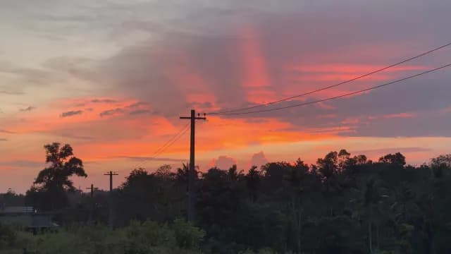 Vibrant Tropical Sunset Over Rural Landscape with Silhouetted Trees