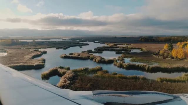 Scenic Flight Over Golden Autumn Marshlands and River Delta