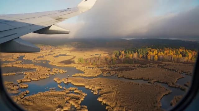 Scenic Flight Over Golden Autumn Wetlands and Forests