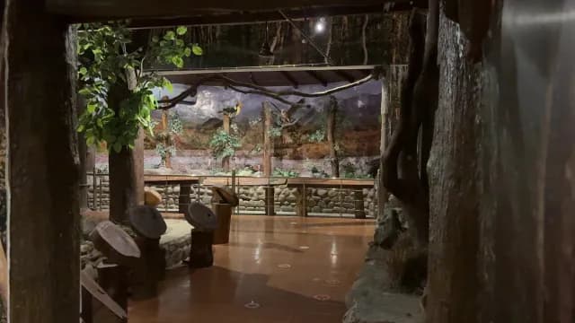 Educational Forest Diorama Exhibit in a Natural History Museum, Jim Corbett, Uttarakhand