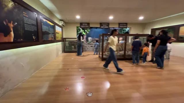Visitors Exploring Wildlife Exhibits at a Natural History Museum, Jim Corbett, Uttarakhand