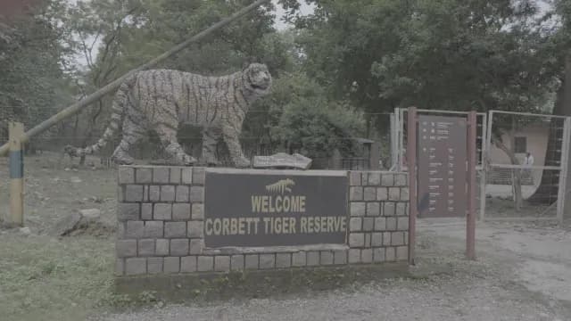 Welcome Sign and Plastic Waste Tiger Sculpture at Corbett Tiger Reserve, Jim Corbett, Uttarakhand